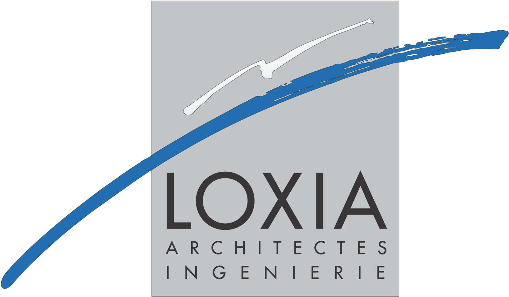 Loxia